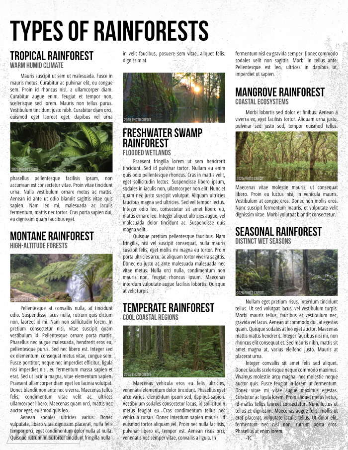 font design 1